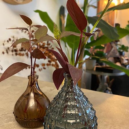 תל אביב Inspirational Apartment מראה חיצוני תמונה